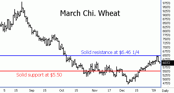 http://www.commoditytrader.com/images/chicago_wheat_bulls.gif