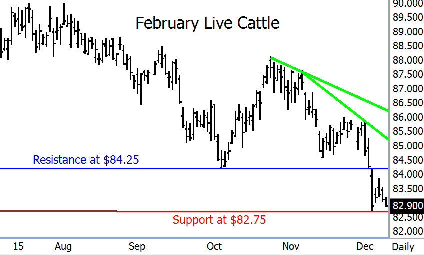 http://www.commoditytrader.com/images/live_cattleDec092009.gif