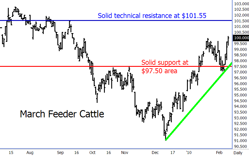 http://www.commoditytrader.com/images/marchfeedercattle.gif