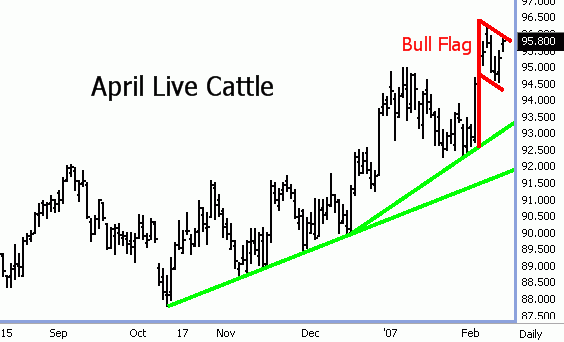Cattle Futures for April 2007.gif