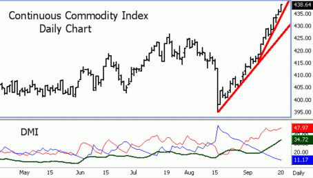 Continuous Commodity Index