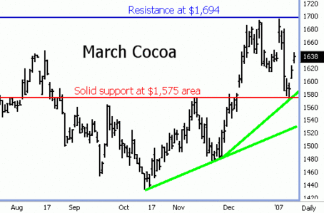 Cocoa Futures