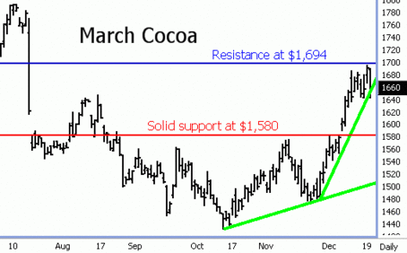 Cocoa Futures