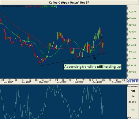 Coffee Option Trade Coffee Options