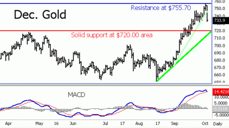 gold_dec_2_07.gif