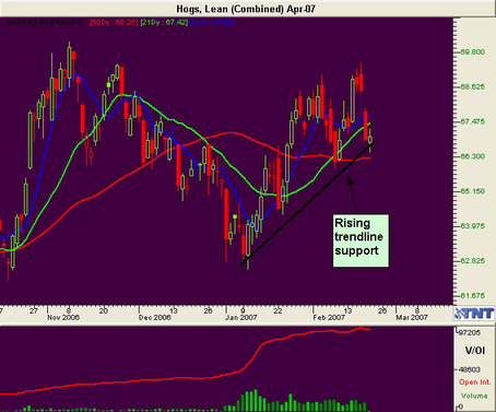 Lean Hog Futures