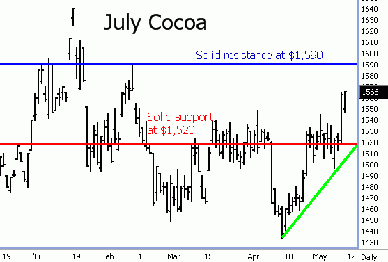 july_cocoa.gif