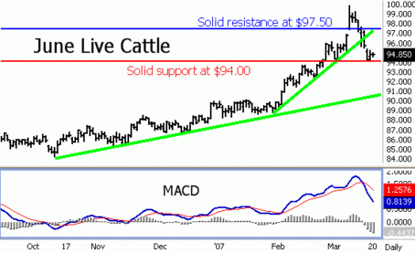 Live Cattle Futures