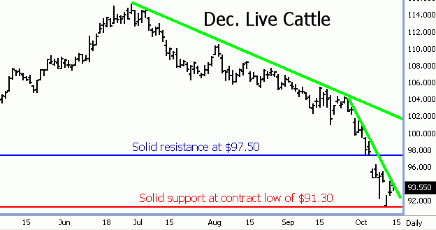 Live Cattle
