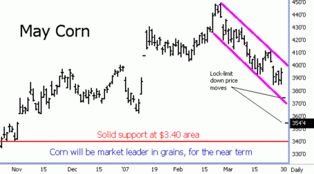 May 2007 Corn Futures