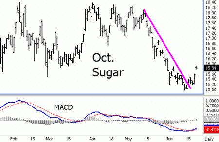 Sugar Gaps Up; Lows Likely in Place