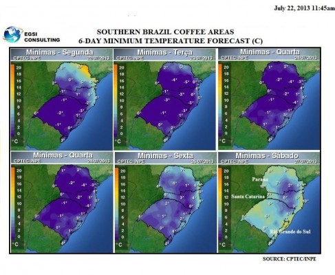 Coffee frost forecast