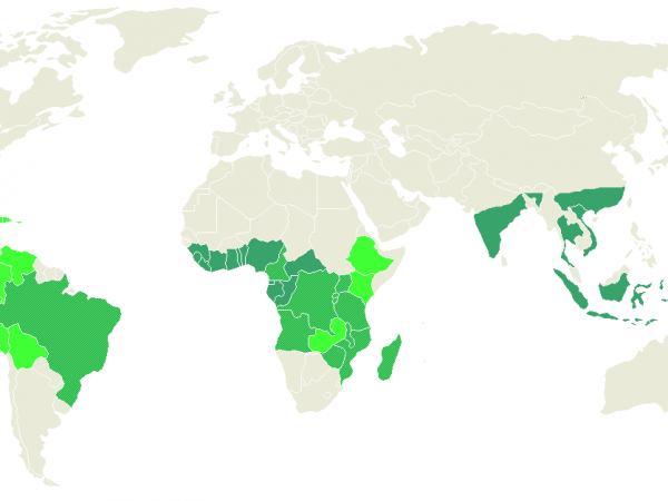 world map of coffee plantations