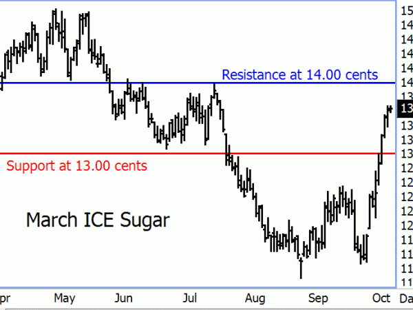 Sugar Pops; Could Be Early Clue Raw Commodity Sector is Bottoming March ICE Sugar