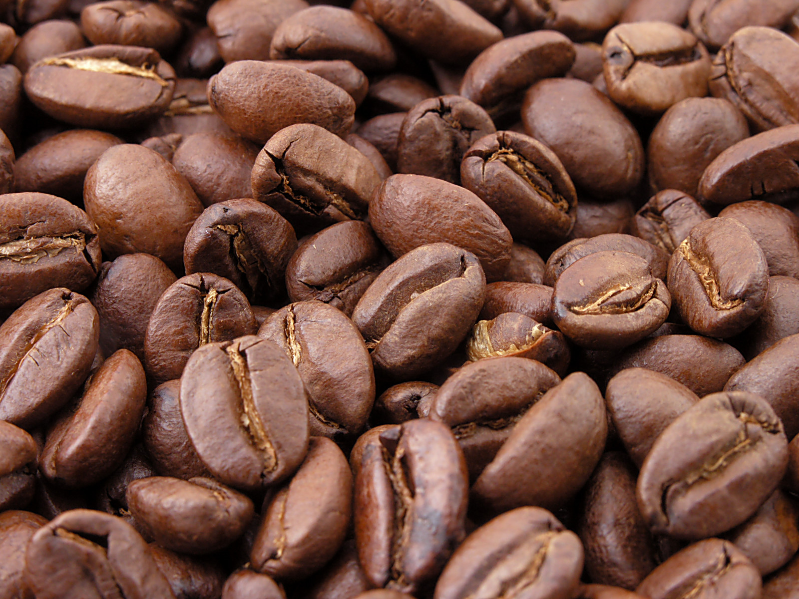Weekly Coffee Perspective
