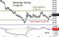 December NYMEX Crude Oil Bull Futures