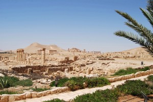 Palmyra Syria - Oil Fields