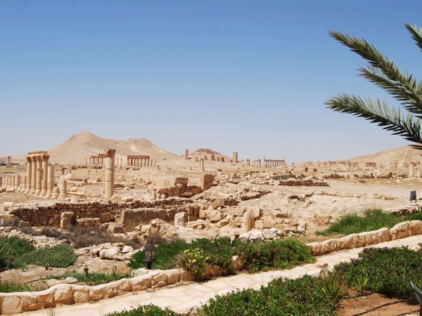 Palmyra Syria - Oil Fields