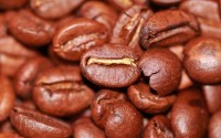 Coffee roasted beans - trading funds