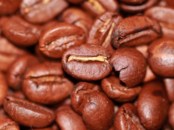 Coffee roasted beans - trading funds