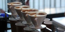 Coffee Markets