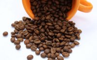 Fresh Fundamental News or More Fund Buying coffee futures fundamental