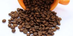 coffee futures fundamental