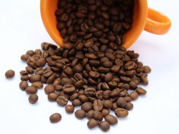 coffee futures fundamental
