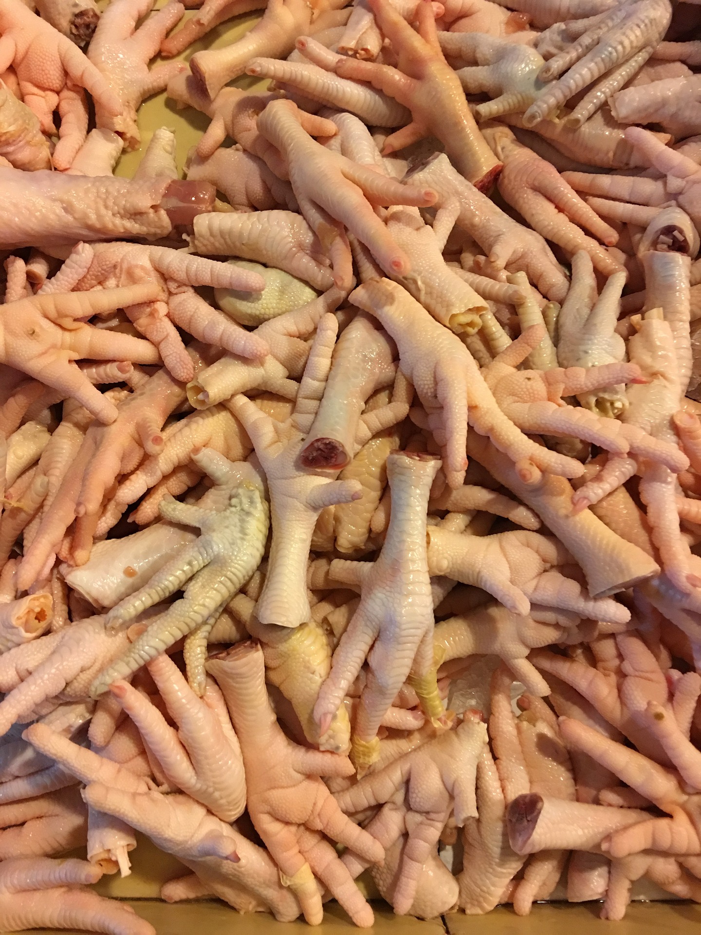 Chicken feet